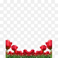 �����㻨��������-������