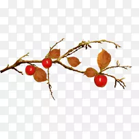 Ö¦Ò¶¼ôÌù»-¿ÕÈôÍø Ö¦Ò¶¼ôÌù»-¿ÕÈôÍø