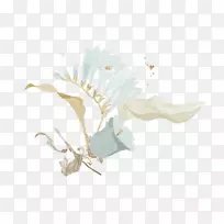 水彩画花花-空若网 水彩画花花-空若网