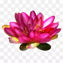 爱友谊博客SkyRock礼物-人-空若网 爱友谊博客SkyRock礼物-人-空若网