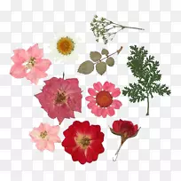 压花工艺拼贴花束问候和便笺卡干花-空若网 压花工艺拼贴花束问候和便笺卡干花-空若网