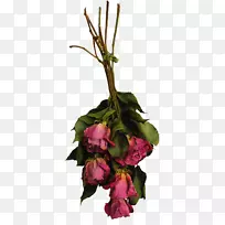 ��������л�õ�廨���ɻ�-������