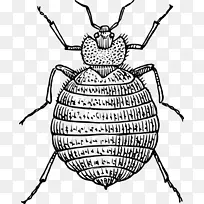 ���洲�涣ҧͼ-������