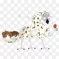 达尔马提亚狗猫-爱的宣言-空若网 达尔马提亚狗猫-爱的宣言-空若网