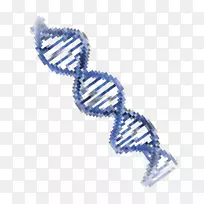 �����鱦��-������