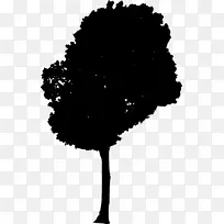 树的轮廓-空若网 树的轮廓-空若网
