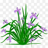 植物免费内容剪贴画-植物剪贴画-空若网 植物免费内容剪贴画-植物剪贴画-空若网