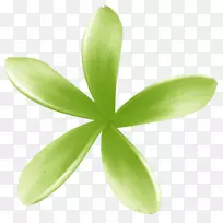 花瓣动画土坯-空若网 花瓣动画土坯-空若网