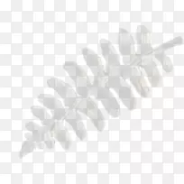 �׺���ë��-������