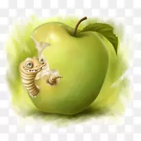 ���ƻ���������-������