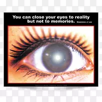 ��ɫ���۲�ϸ����ѧ-�����۾�-������