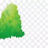 �̲�����-������