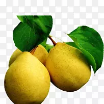 �����֭��xd 7-������