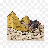 埃及金字塔古埃及骆驼插图埃及金字塔和骆驼色材料-空若网 埃及金字塔古埃及骆驼插图埃及金字塔和骆驼色材料-空若网
