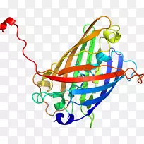 线点生物剪贴画.水母3d-空若网 线点生物剪贴画.水母3d-空若网
