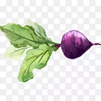 菜园萝卜水彩画蔬菜食品蔬菜-空若网 菜园萝卜水彩画蔬菜食品蔬菜-空若网