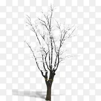 ѩ��֦-ѩ��-������