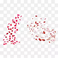 花瓣玫瑰摄影-免费剪贴画-玫瑰花瓣-空若网 花瓣玫瑰摄影-免费剪贴画-玫瑰花瓣-空若网