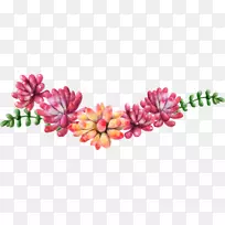 ����ˮ�ʻ���������ֲ��-������