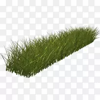 草绿剪贴画-绿草-空若网 草绿剪贴画-绿草-空若网