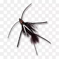 昆虫若虫飞钓鱼王子吉比特飞若虫-空若网 昆虫若虫飞钓鱼王子吉比特飞若虫-空若网