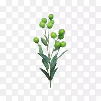 �л���ţ�򼻴�������-������