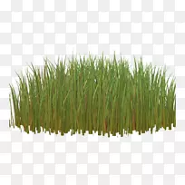 �ݱ�ֲ�������-�̲�-������