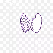 甲状旁腺内分泌系统计算机图标.过度治疗-空若网 甲状旁腺内分泌系统计算机图标.过度治疗-空若网
