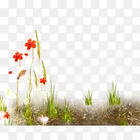 照片过滤博客-空若网 照片过滤博客-空若网