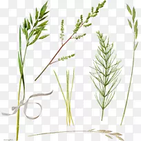 剪贴画-空若网 剪贴画-空若网