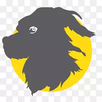 模版平面设计师动画师-朱-空若网 模版平面设计师动画师-朱-空若网