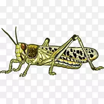 ɳĮ»È³æ¼×³æ¼ôÌù»»È³æ-¿ÕÈôÍø ɳĮ»È³æ¼×³æ¼ôÌù»»È³æ-¿ÕÈôÍø