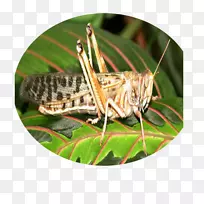 »È³æ-¿ÕÈôÍø »È³æ-¿ÕÈôÍø