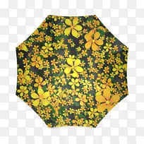 黄色、橙色、红色花、粉红色-花。插图-空若网 黄色、橙色、红色花、粉红色-花。插图-空若网