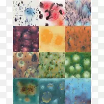 �մ����ղ�ˮ��������ʽ�ʻ�װ��-������