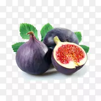 普通无花果树哭泣无花果-空若网 普通无花果树哭泣无花果-空若网