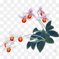 �ɶ꣬��������Ĥ����-��-������