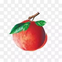 ����ʳƷ-����-������