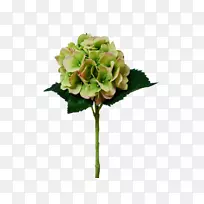 绣球切花-空若网 绣球切花-空若网