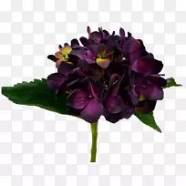 切花,绣球,茄子,紫罗兰,人造花-空若网 切花,绣球,茄子,紫罗兰,人造花-空若网