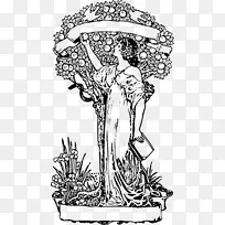 知识之树善恶之画树之生命-创意树收藏-空若网 知识之树善恶之画树之生命-创意树收藏-空若网