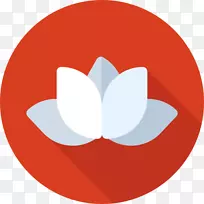 ���յ������ͼ��-����-������