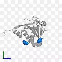 车身珠宝字体设计-空若网 车身珠宝字体设计-空若网