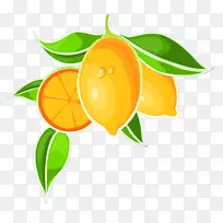 苦橙卡通剪贴画-金库-空若网 苦橙卡通剪贴画-金库-空若网