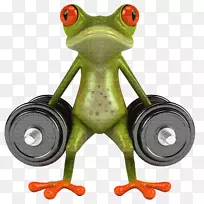 �������걣�ո���ֽ������ϩ����-������