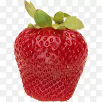 ��ݮ��ʹʳƷ����̵��������-��ݮ-������