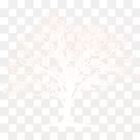 ֦����-������