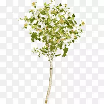 桌面壁纸剪贴画-树-空若网 桌面壁纸剪贴画-树-空若网