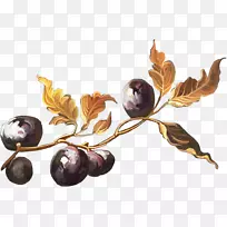 奥格里斯水果-空若网 奥格里斯水果-空若网