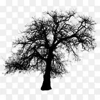 镜头动画鬼-动画-空若网 镜头动画鬼-动画-空若网